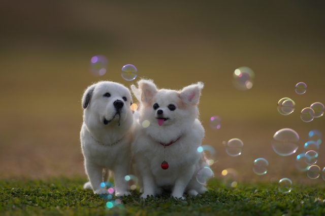 大型犬と子供、他のペットとの相性について知っておこう！グレートピレニーズの特性と適切な監視、訓練の重要性